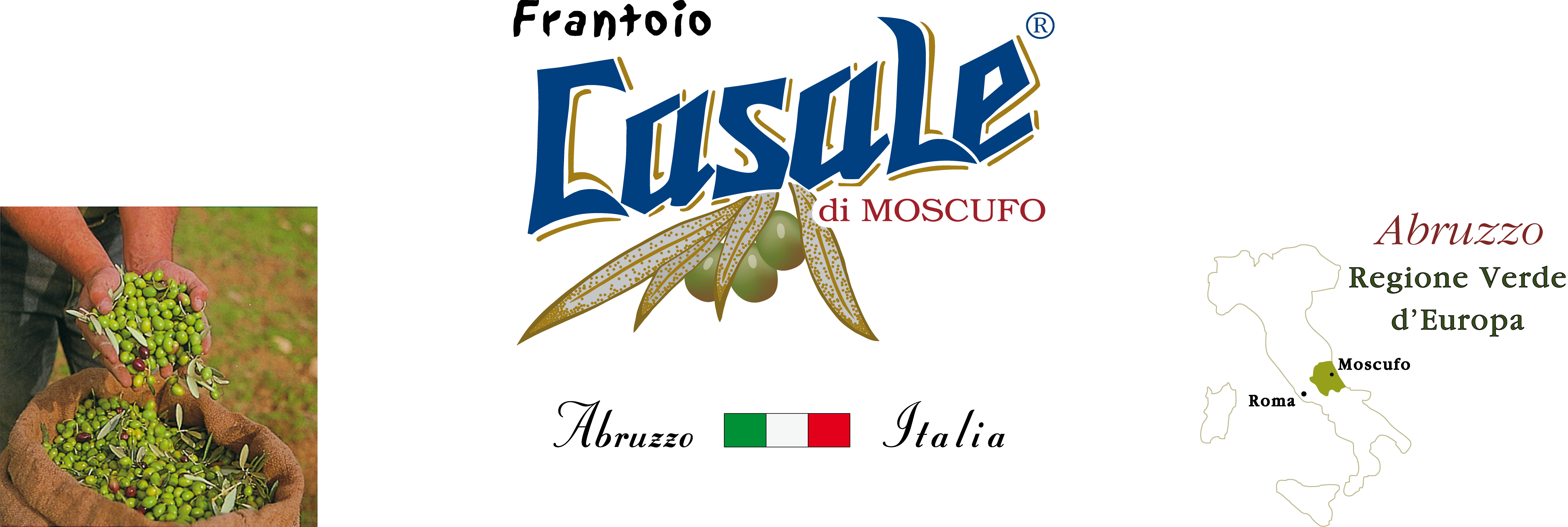 Logo desktop