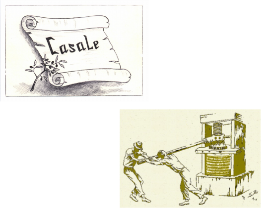 Torchio